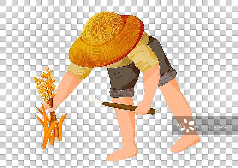 正在收割农作物的农民图片素材