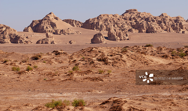 大海道红柳滩景区#12月打卡挑战#图片素材