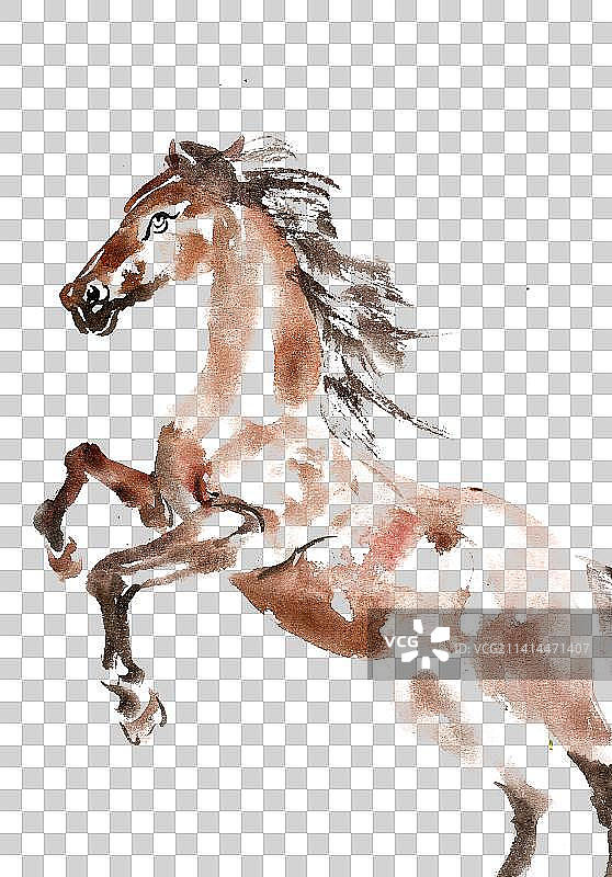 跳跃的骏马图片素材