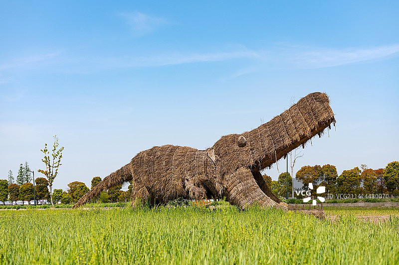 蓝天微云背景下的绿色稻田与稻草鳄鱼造型.上海嘉北郊野公园稻田文化图片素材