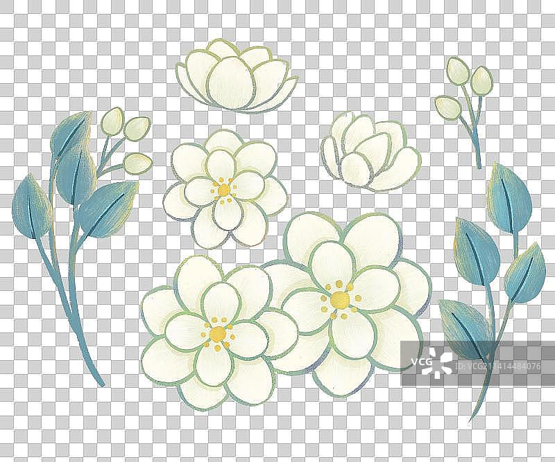 茉莉花植物元素图片素材