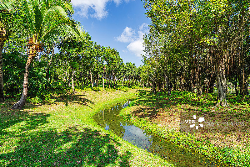 海南省三亚市吉阳区东岸湿地公园图片素材