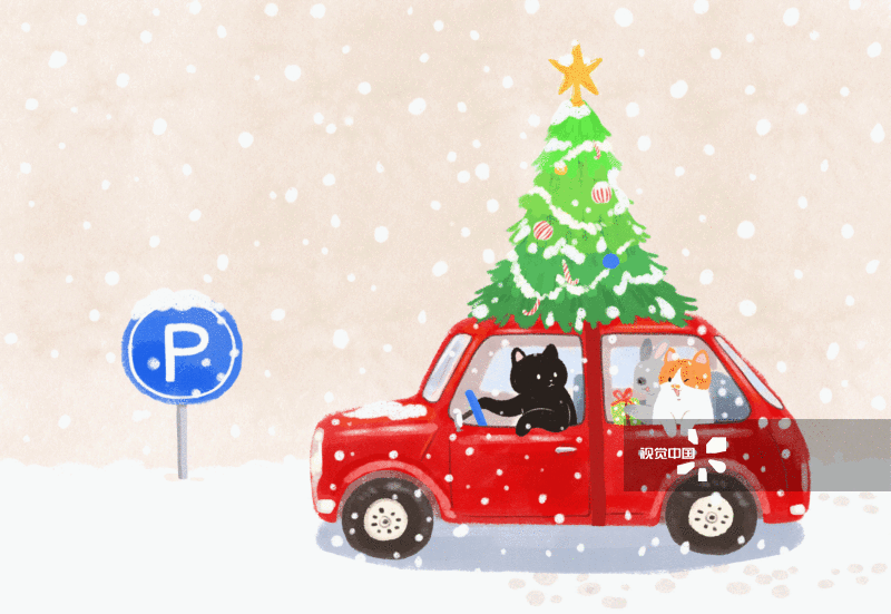 猫咪们的圣诞节图片素材