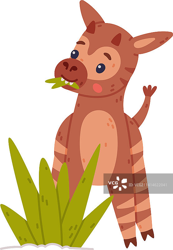 可爱的小狓吃草嬉戏图片素材