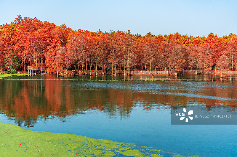 青山湖冬日风景图片素材