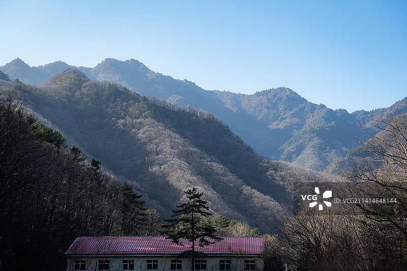 朱雀国家森林公园图片素材