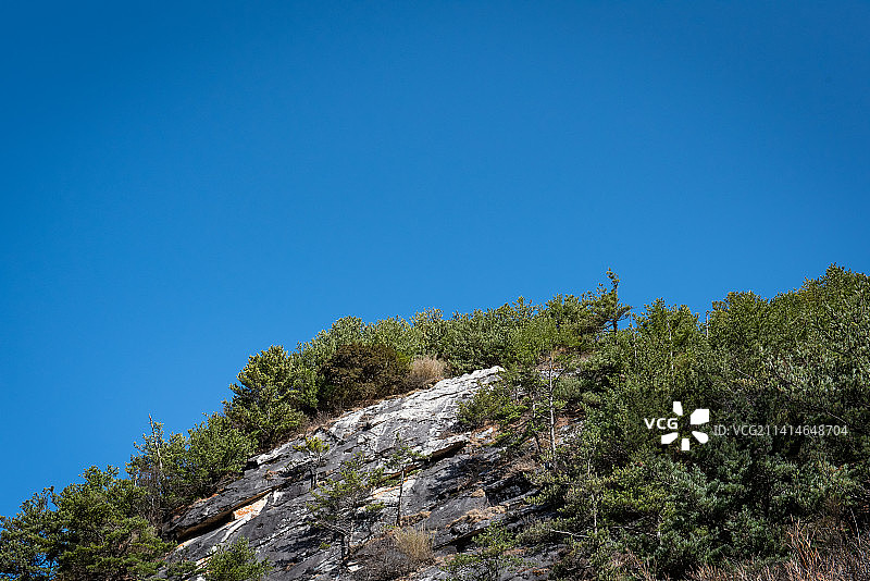 朱雀国家森林公园秋末风景图片素材