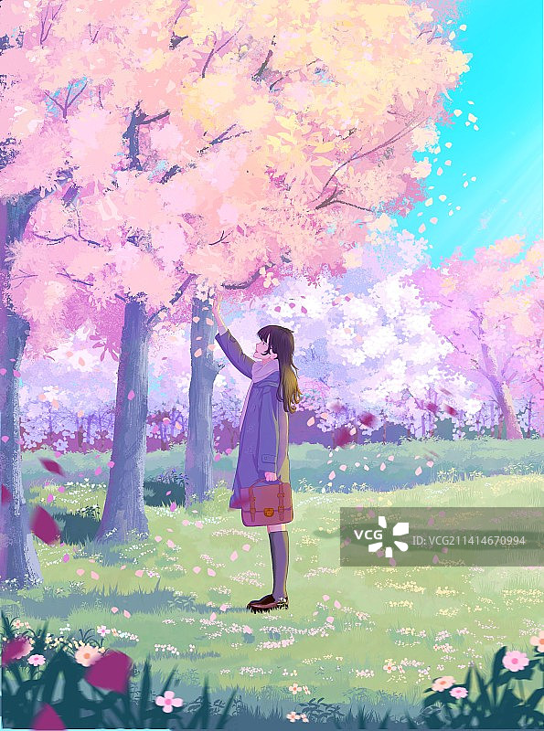 樱花树下的等待图片素材