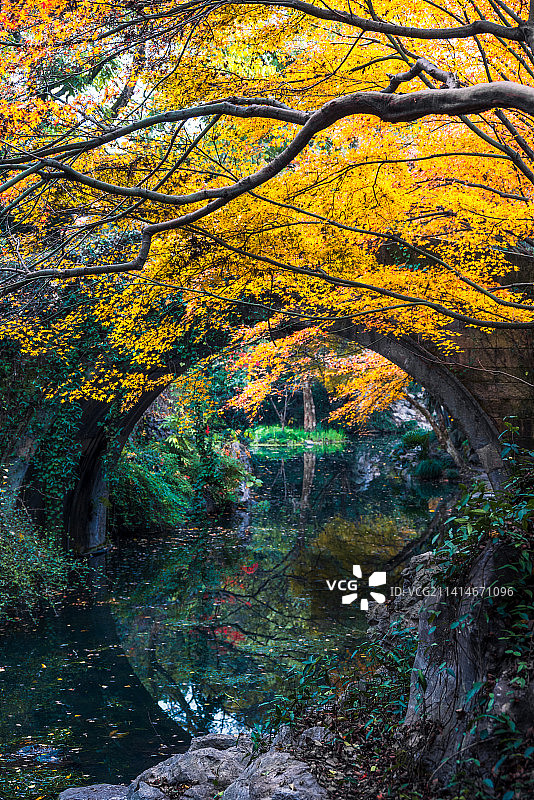 柳浪闻莺秋色图片素材