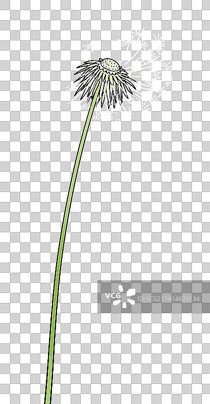 蒲公英手绘卡通花卉植物设计元素图片素材