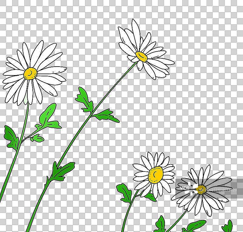 菊花手绘卡通花卉植物设计元素图片素材