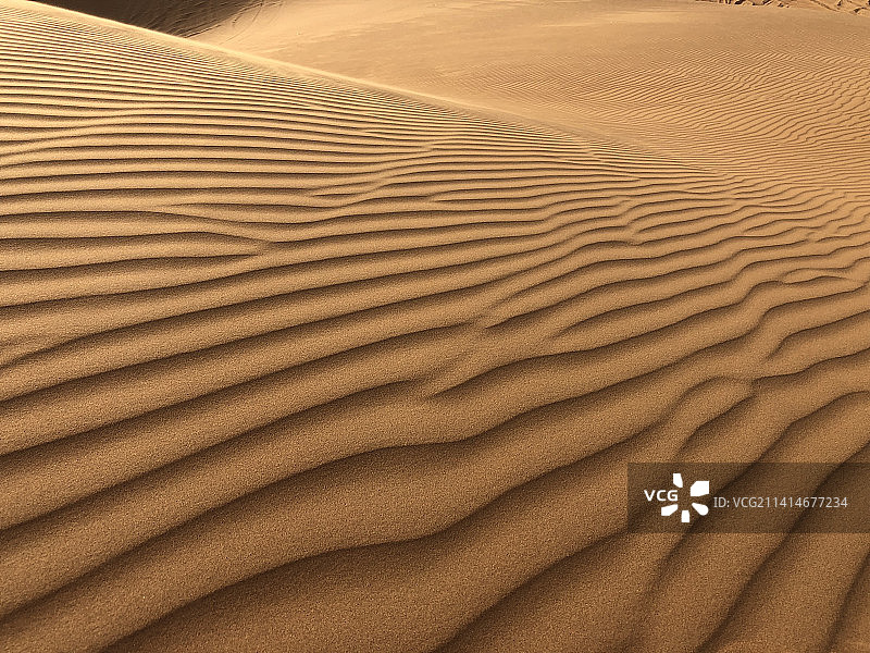 阿拉伯联合酋长国沙丘全景图片素材