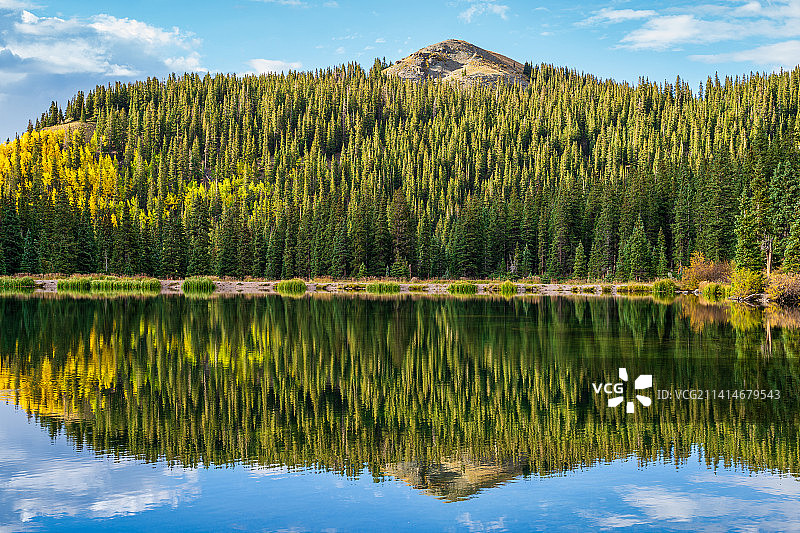 美国科罗拉多州阿尔塔湖泊树木风景图片素材