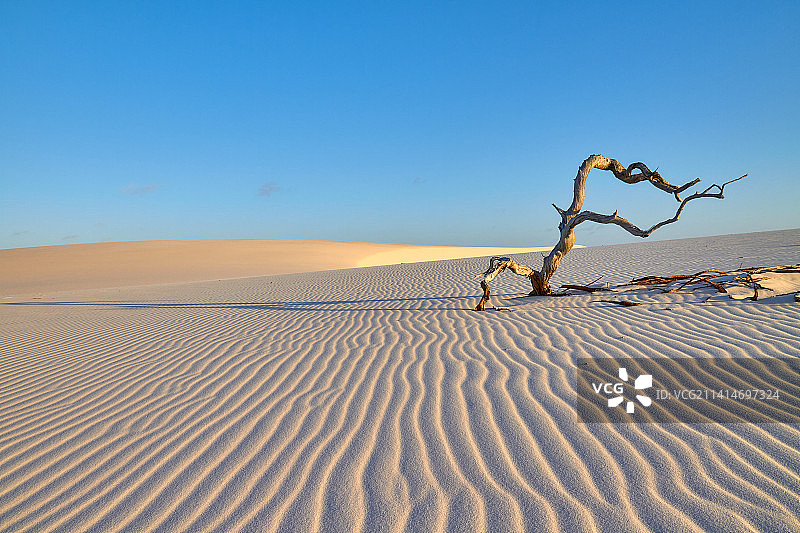 湛蓝的天空映衬下的沙漠风景图片素材