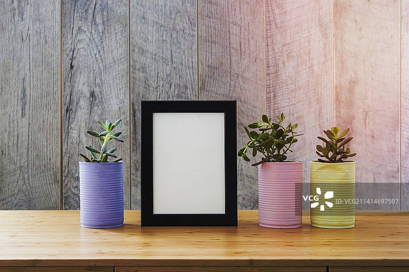 木桌上的仙人掌白色相框图片素材