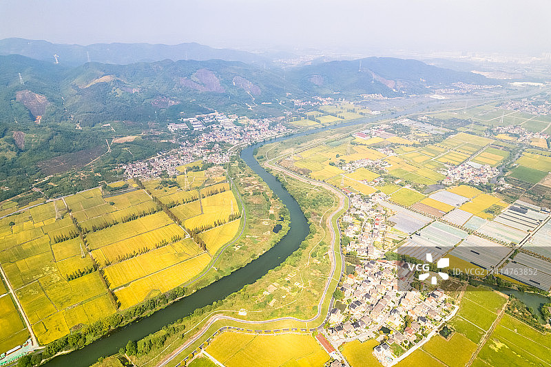 杭州良渚金秋稻田航拍图片素材