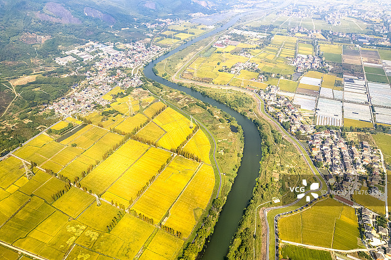 杭州良渚金秋稻田航拍图片素材