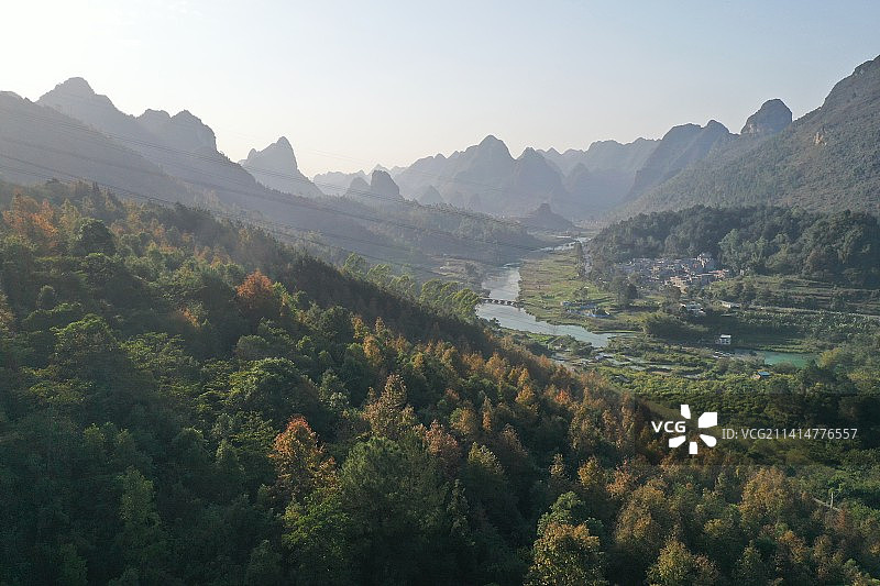 航拍广西百色市德保县红叶森林图片素材