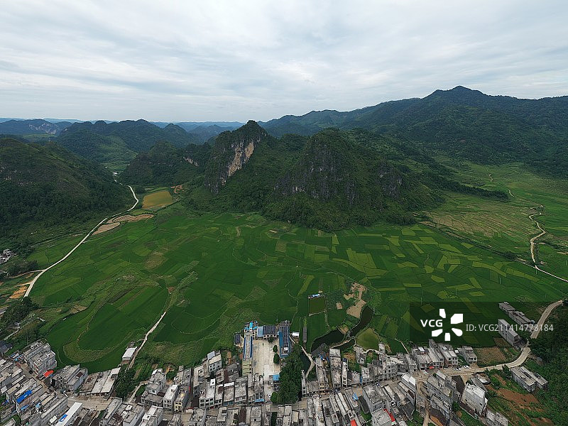 航拍广西百色市德保县秋天金黄的晚稻和田野村庄图片素材