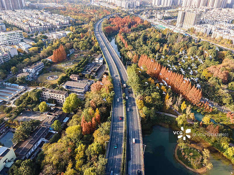 成都升仙湖公园冬日暖阳图片素材