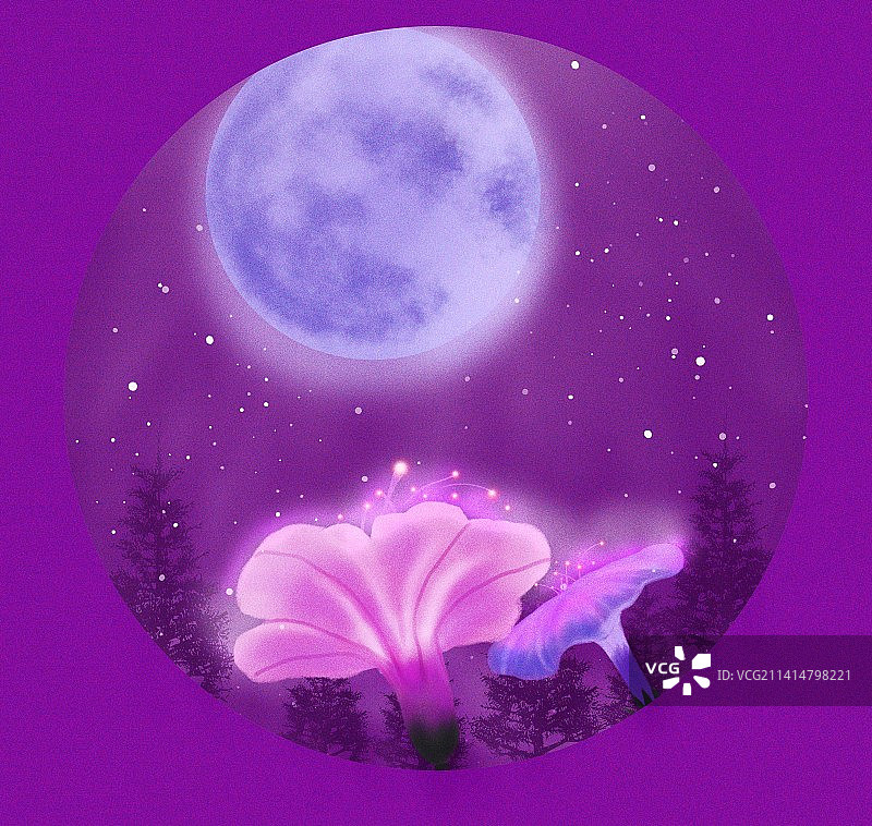 星空下的牵牛花插画图片素材