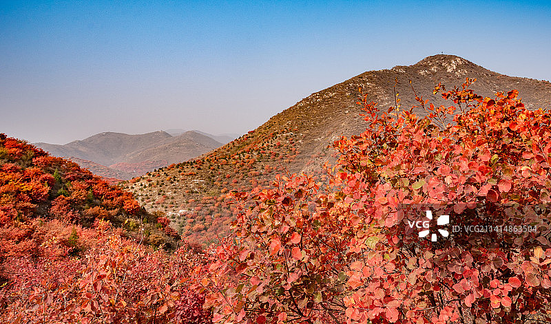 秋天北京舞彩浅山漫山红叶图片素材