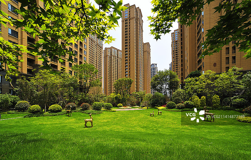 夏日，家里的公园图片素材