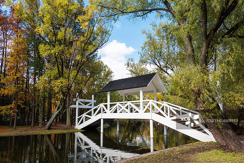 上海共青森林公园风雨桥图片素材