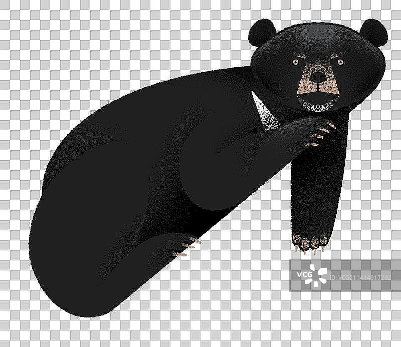 动物园里的动物们系列图片素材