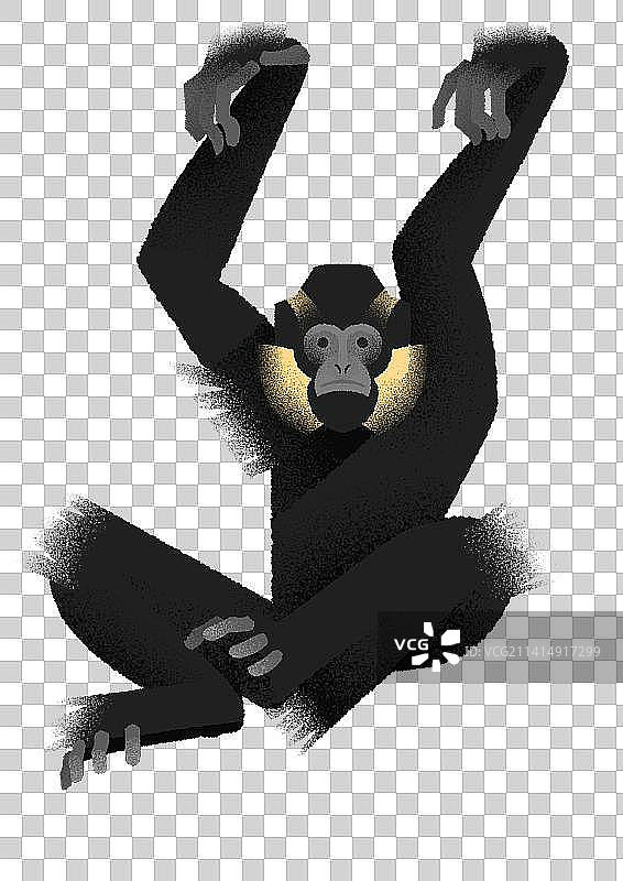 动物园里的动物们系列图片素材