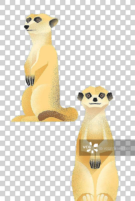 动物园里的动物们系列图片素材