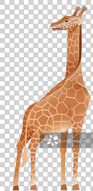 动物园里的动物们系列图片素材