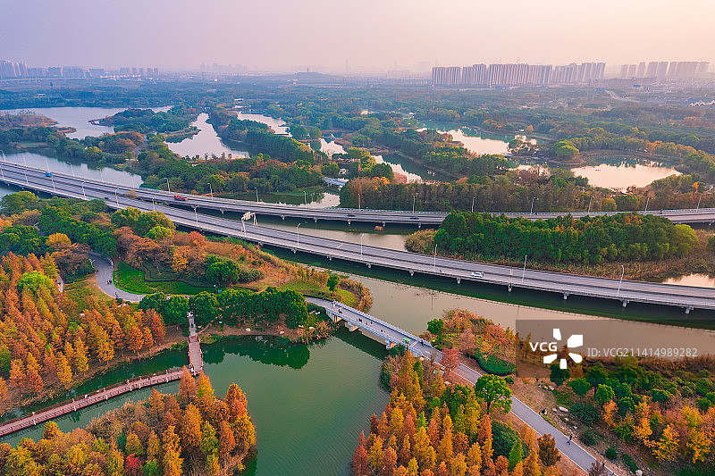 航拍江苏苏州虎丘湿地公园秋天红杉林自然人文风光图片素材