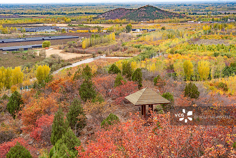 秋天北京顺义舞彩浅山漫山红叶图片素材