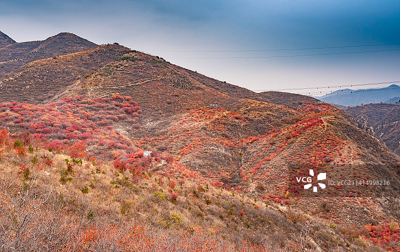 秋天北京顺义舞彩浅山漫山红叶图片素材