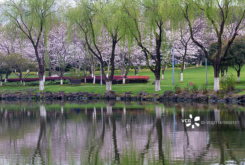 瓜渚湖东岸公园图片素材