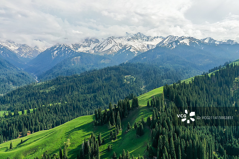 新疆伊犁巩留县恰西风景区图片素材