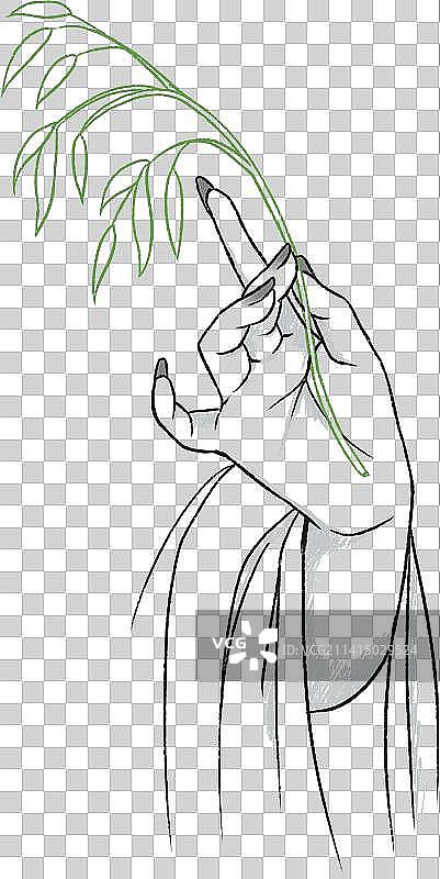 观音菩萨佛祖手持柳叶枝的手部特写动作手势免抠绘画素描线稿元素点缀排版装饰图片素材
