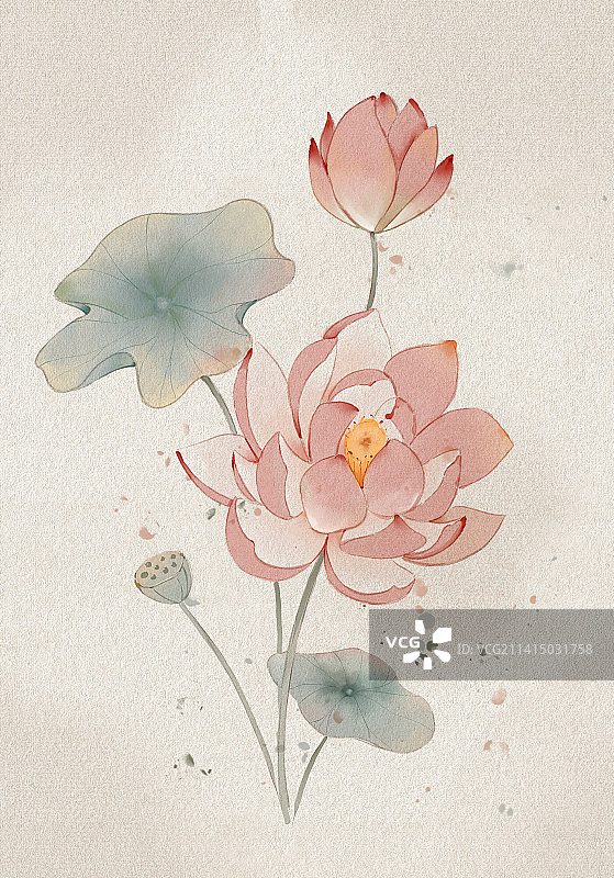 中国风水彩淡墨质感莲花荷花荷叶组合插画图片素材