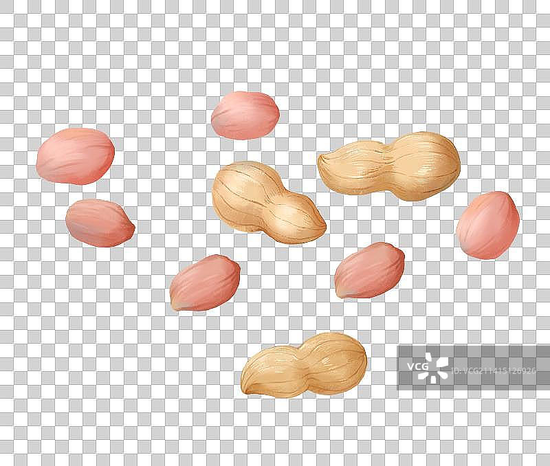 春节年俗插画元素花生图片素材