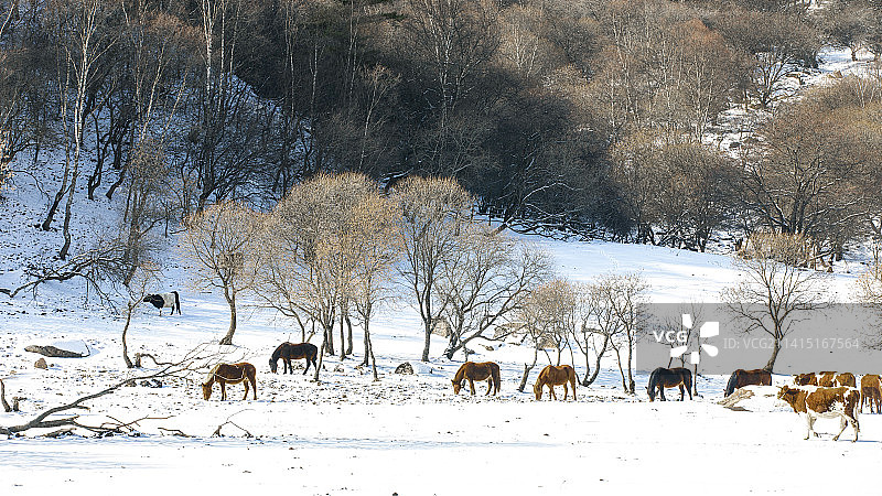 宝鸡关山草原冬雪之美图片素材