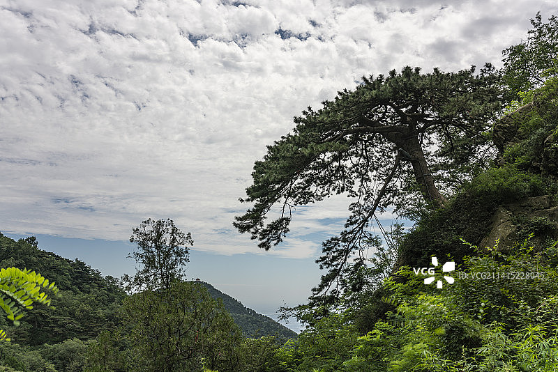 山东泰安泰山山顶风景风景区图片素材