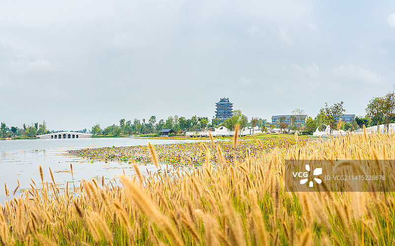 成都东安湖公园东安阁秋冬景象图片素材