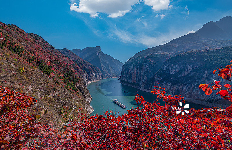 2022年三峡瞿塘峡红叶季图片素材