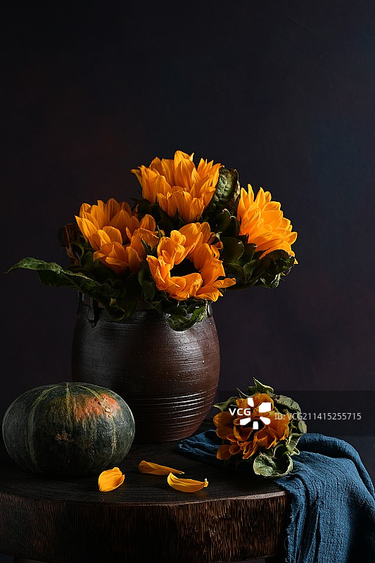 向日葵特写镜头图片素材