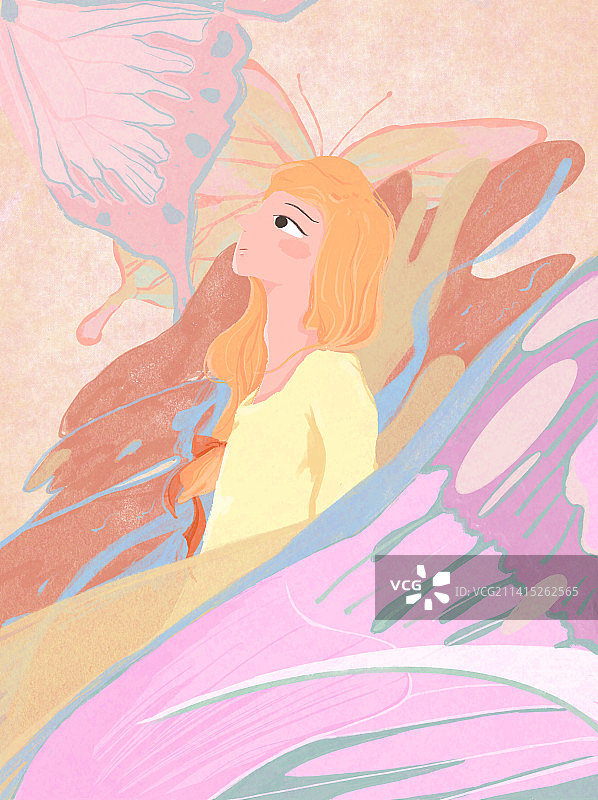 看见｜蝴蝶图片素材