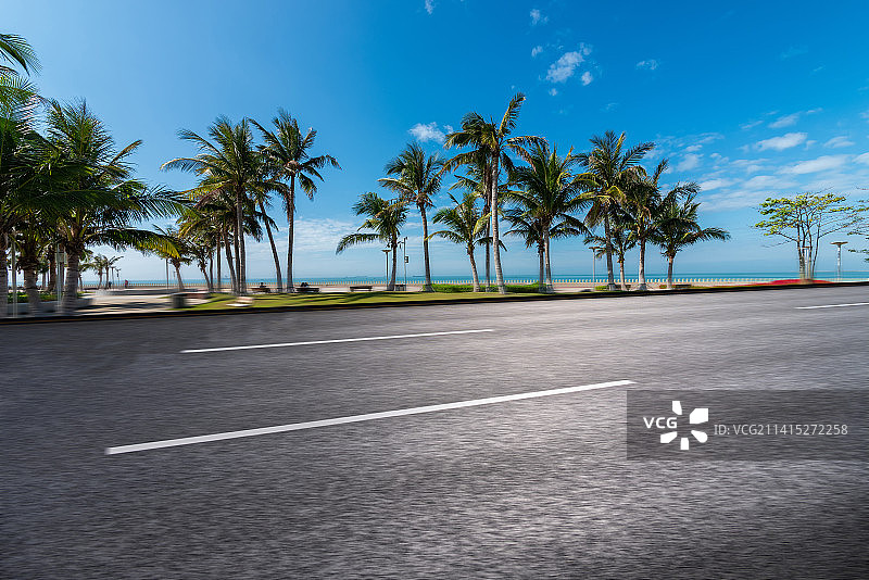 长满椰子树的海岸线道路图片素材