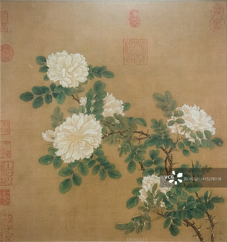 北京故宫博物院《白蔷薇图》宋代马远26.2X25.8cm图片素材