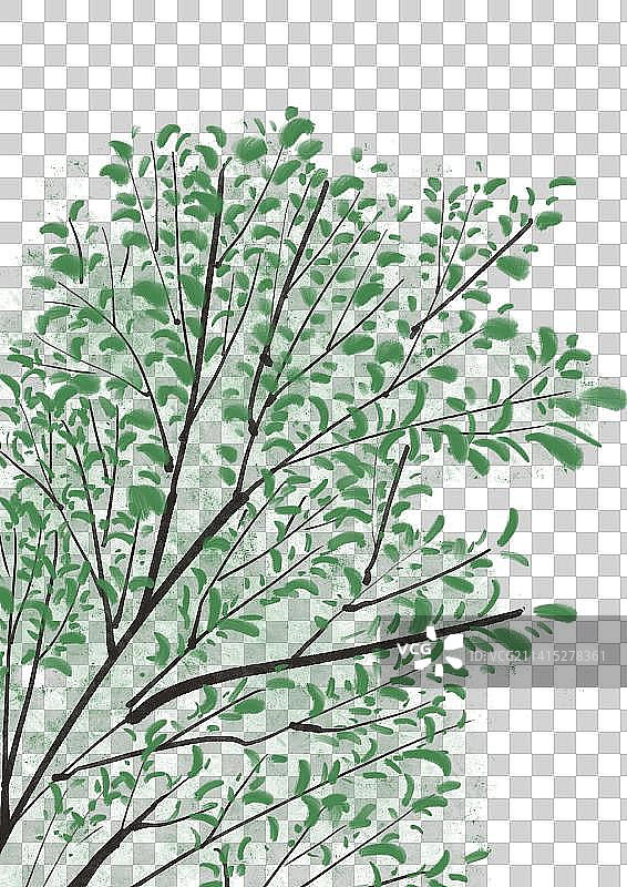 古风植物图片素材