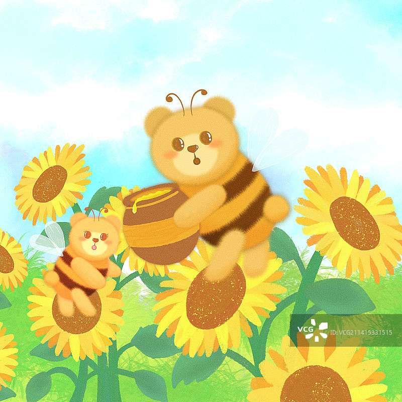 在向日葵田里采蜜的一对熊蜂图片素材